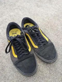 VANS OLD SKOOL PRO BMX (LARRY EDGAR)