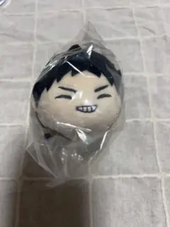 ハイキュー 岩泉一 もちもちマスコットwa