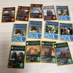 希少】マクドナルド ディズニー ダイナソー トレーディングカード
