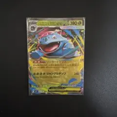 メガフシギバナex