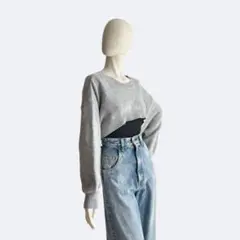 INGNI イング ニット ショート丈 グレー クロップドニット