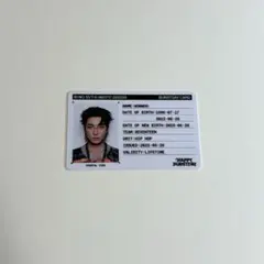 SEVENTEEN ウォヌ　IDカード