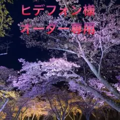 ヒデフォン様オーダー専用ページ