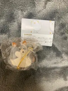 うちの子のけだまだま 柴犬