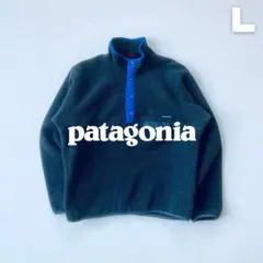 Patagonia 1989年 シンチラスナップT USA製 L グレー