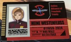 ハイネ　カード　ガンダムSEED DESTINY