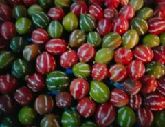 大西 信彦様 リクエスト 3点 まとめ商品