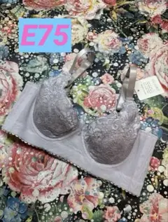 トリンプ　完売モデル　紫　補正レース　　ブラジャー