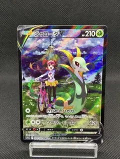 Cattleya【 まとめ買い歓迎 】様 リクエスト 3点 まとめ商品