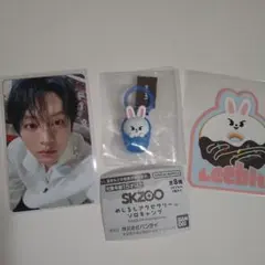 Stray Kids リノ Leebit トレカ チャーム まとめ売り