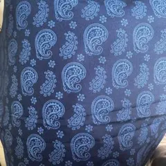 ペイズリー 生地