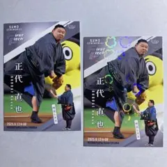 Item thumbnail for item f934bb63-16d0-4e67-8645-64c9b200c578