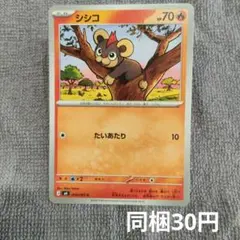 【在庫21】シシコまとめ買いのサムネイル