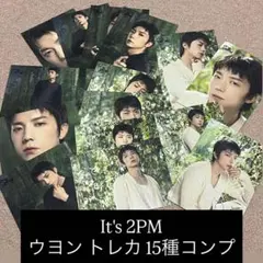 2PM ウヨン トレカ 15種コンプ
