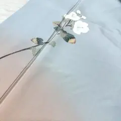 き*ん様 友禅付下げ 裄66.5 暈し染 上品な花模様 着物 正絹 広衿 RK-