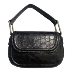 ZARA ミニバッグ