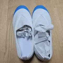 Item thumbnail for item d6bd29c6-cd9c-4d9d-af9a-8f997425bb47