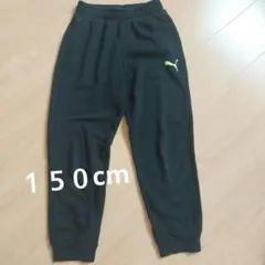 PUMA スウェットパンツ 150cm 黒