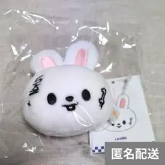 ストレイキッズ KARMA ポップアップ SKZOO ネームタグ リービット