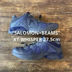 2026年最新】SALOMON メインカラー：パープル メンズ スニーカーの人気 