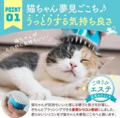 캣츠 리워드 에스테틱 캔디 브러쉬 그린