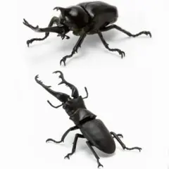 いきもの大図鑑 ミニ 昆虫 ヤマトカブトムシ & ギラファノコギリクワガタのサムネイル
