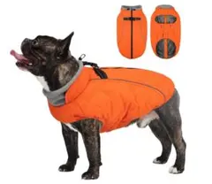 Item thumbnail for item 09a4e1e7-e5f5-4902-b9ba-672182121e01