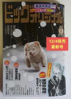 ビッグコミックオリジナル 　　　　　2025年12月20日号 No.24