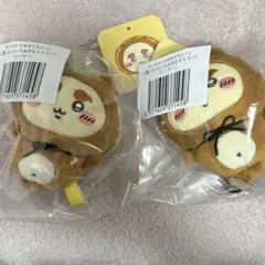 たぬきだもんくじ シーサー