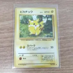 2026年最新】ジャングルピカチュウの人気アイテム - メルカリ