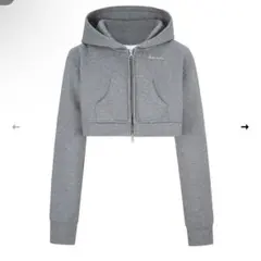 ANDWANG Kirakira short Zip up グレーパーカー　M Kirakira zip up (gray)