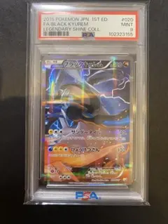 ブラックキュレム CP2 PSA 10 2025年最新】ブラックキュレムex psa10の人気アイテム - メルカリ