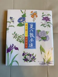 新品】越前和紙 朝顔 朝顔手水柄 花柄便箋 ミドリカンパニー - メルカリ