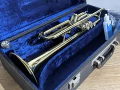 Item thumbnail for item c782bfd0-f343-4acb-ab89-192917d910e5