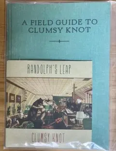 Randolph's Leap インディー　ポップ　スコットランド