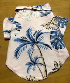 Item thumbnail for item 28550eb4-496e-473c-a9ed-2672d738da50