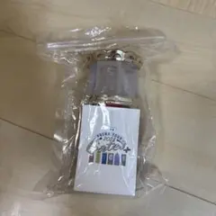 美少年　Gates 2024 ペンライト