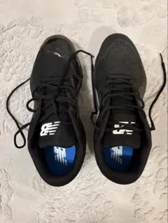 Item thumbnail for item 6db1d6e4-bd4e-43cc-bddc-cf71a8cd2a56