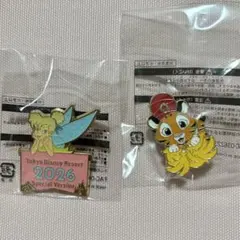 ディズニー 景品 ピンバッジ ティンカーベル チャンドゥのサムネイル