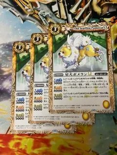 BSC49 星犬ポメランLt 黄 3枚