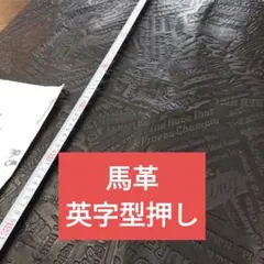 Item thumbnail for item ad0d62d9-74cb-487e-8c9d-42d107ff2776