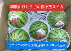 特値。和歌山ひとりじめ紅小玉スイカ。ミニミニ4Ｓ5玉入。箱込約2.5〜3kgのサムネイル