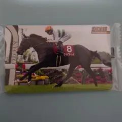 まねき馬　2663　ショウヘイ　川田将雅　京都新聞杯