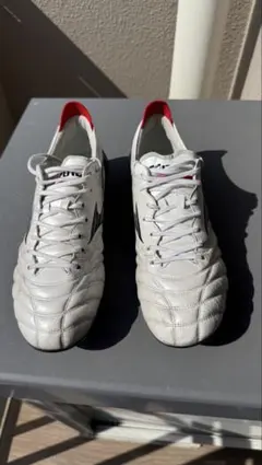 左右サイズ違い　左27.5 右27.0 Mizuno モレリネオ4 スパイク