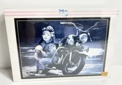 キム・アンダーソン　おしゃまなライダーパズル　完成品＆切り抜き キム・アンダーソン おしゃまなライダー ジグソーパズル 1000ピース 未