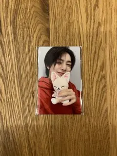 straykids ズートピア skzoo 購入特典 トレカ アイエン