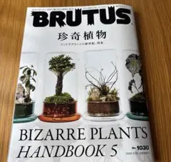 2026年最新】珍奇植物の人気アイテム - メルカリ