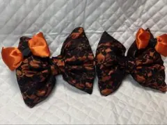 Item thumbnail for item 12553c95-36e0-4d8b-bfbe-4bc1772cf377