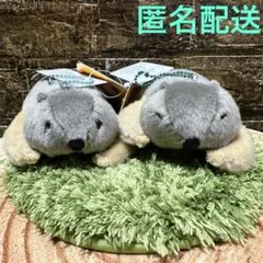 Item thumbnail for item 0cf308dc-733c-43e1-834c-be200d9069f7