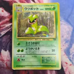 2026年最新】ポケモン ずかんカードの人気アイテム - メルカリ